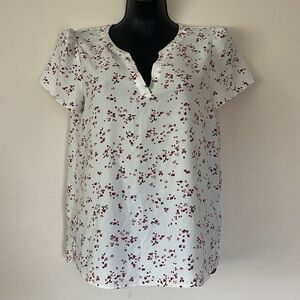 Hilary Radley Blouse